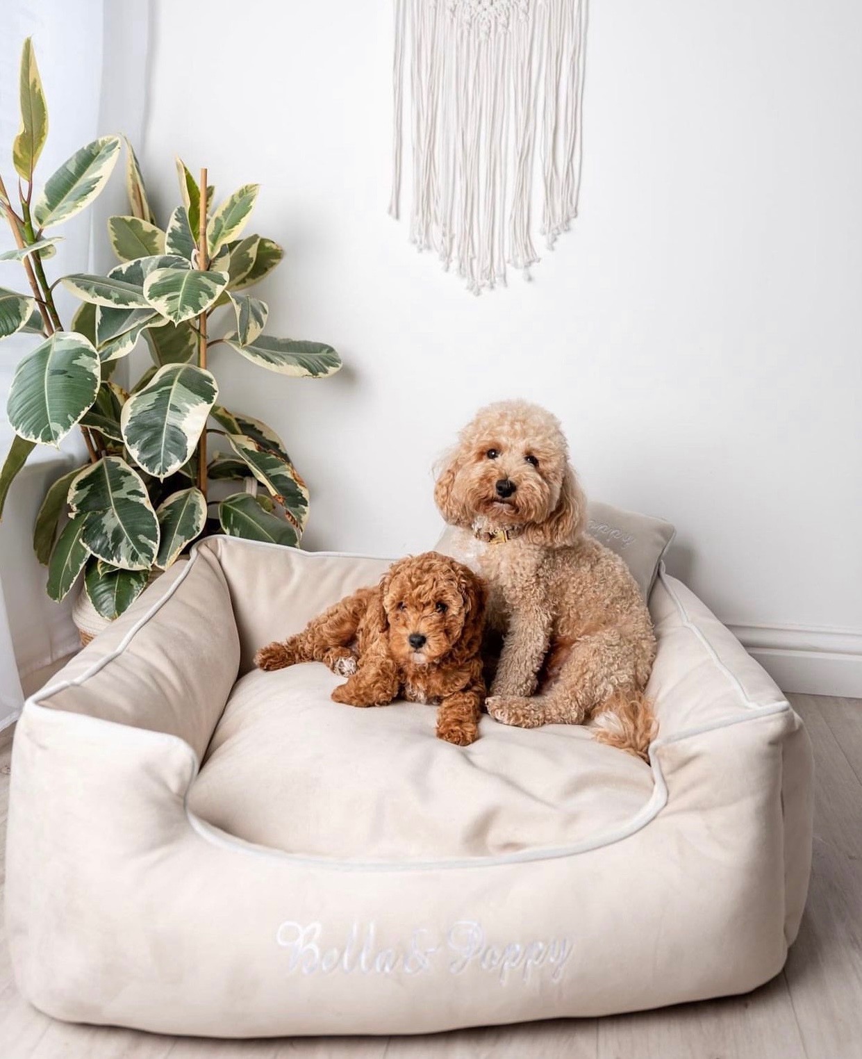 Beige cheap dog beds