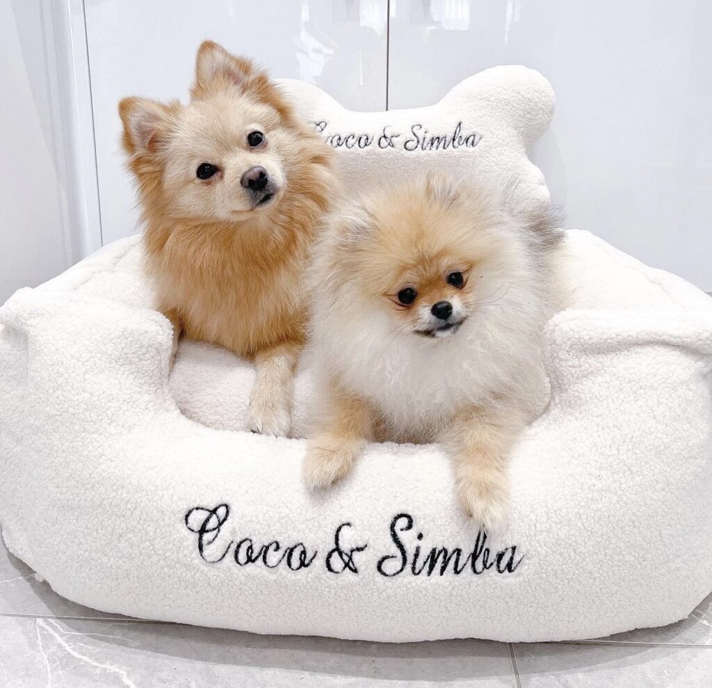 Teddy Borg Personalised Dog Sleigh Bed with pillow Unique Dog